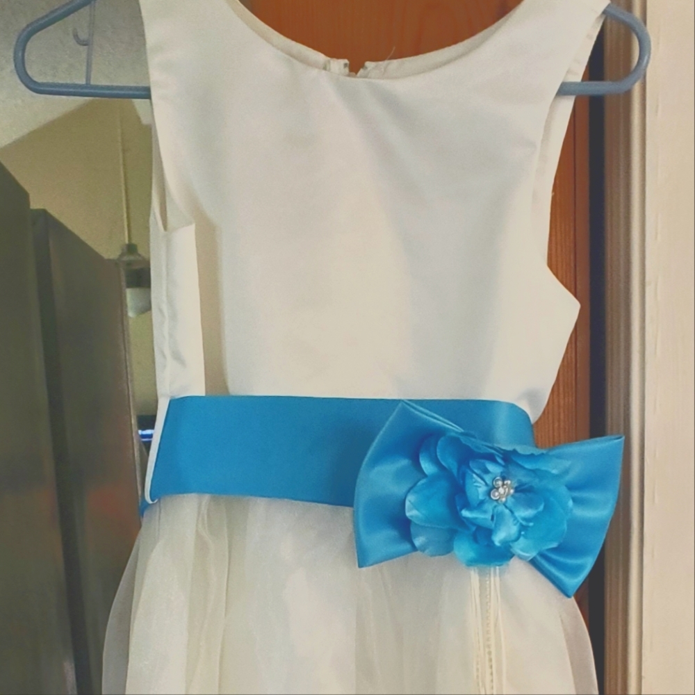 Special occasion girl dress size 12
